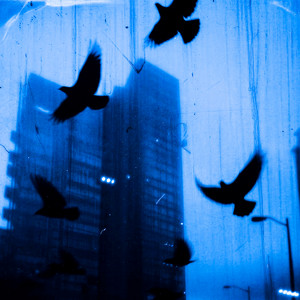Sad birds still sing by SÆTA