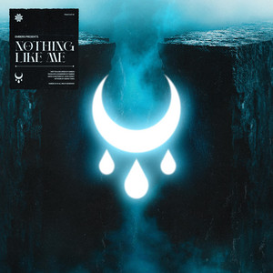 Nothing Like Me by Embers UK