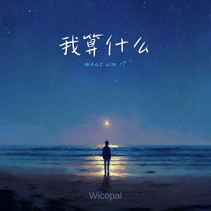 我算什么 What am I? by Wicopal