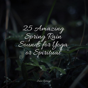 25 Amazing Spring Rain Sounds for Yoga or Spiritual album