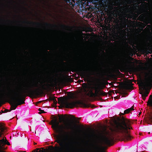 Portada de Perc 30