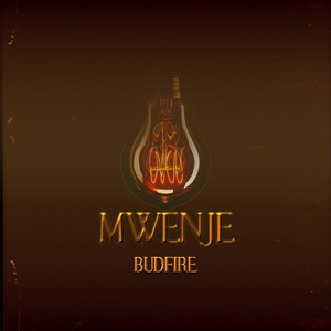Budfire | Spotify