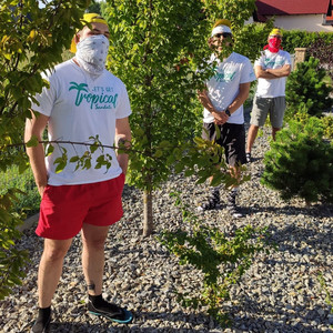 BRONKOV SQD - Papamobile