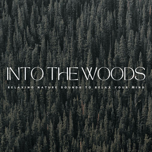 Into The Woods: Relaxing Nature Sounds To Relax Your Mind album