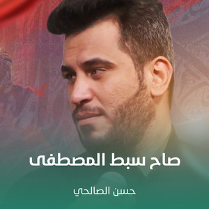 حسن الصالحي - صاح سبط المصطفى