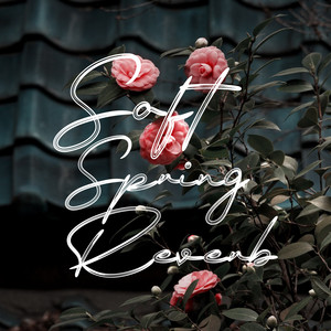 Soft Spring Reverb by Sonix Ripley|{