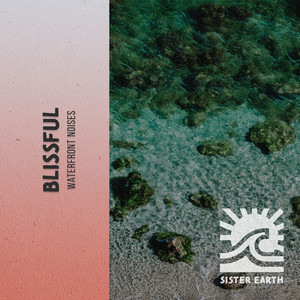 Blissful Waterfront Noises album