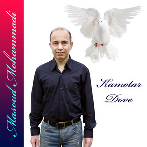 Masoud Mohammadi artist photo