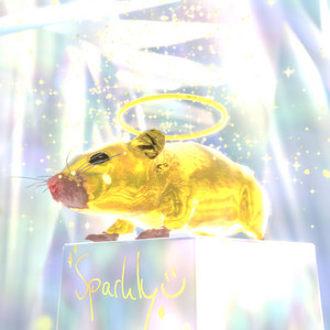 Sparkly ‧₊˚⭒⊹