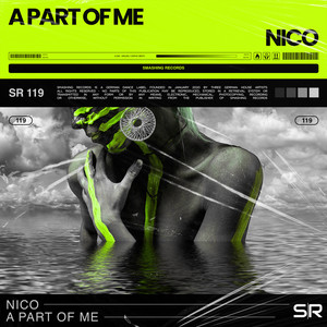 Nico | Spotify