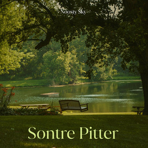 Sontre Pitter by Noosty Sky