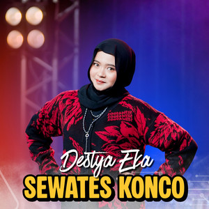 Destya Eka