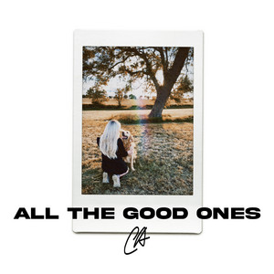 All The Good Ones by Chloe Adams