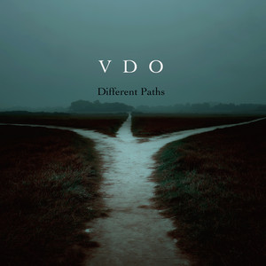 The Wanderer by VDO