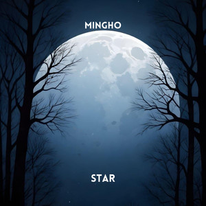 Star - Radio Edit by Mingho