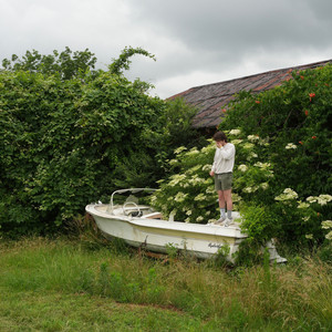 but i had to by Ben Lawrence