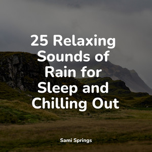 25 Relaxing Sounds of Rain for Sleep and Chilling Out album