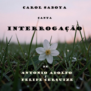 INTERROGAÇÃO by Carol Saboya