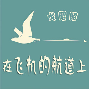 在飞机的航道上 by 戈昭昭