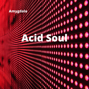 Acid Soul