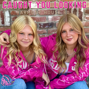 Caught You Looking by Harmony House 801