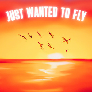 Just Wanted To Fly