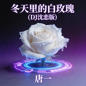 冬天里的白玫瑰(DJ沈恋版) by 唐一