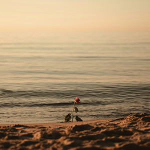 Mist Over Shore by Spatia Sonica
