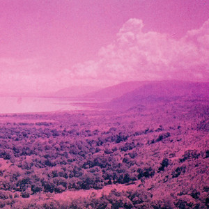 Starlight by Echo Island