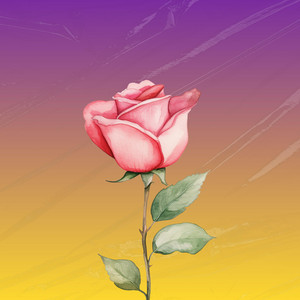Divine Timing by Alira Rose