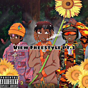 View Freestyle, Pt. 3