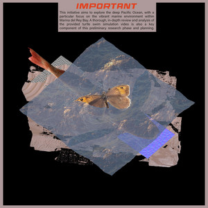 The Songs From The Marine Biology Class Instructional DVD cover art