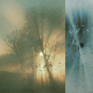 Trees by Nautili