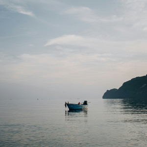 castaway by nest.
