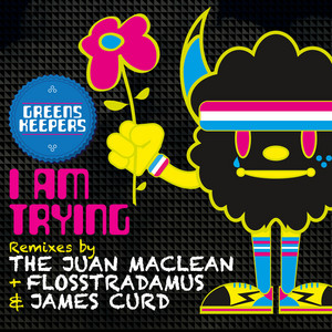 I Am Trying - James Curd Don't Make Me Try Dub