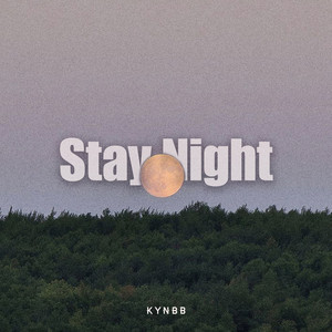 Stay Night