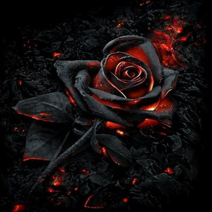 Rosa Negra - song and lyrics by El Golden | Spotify
