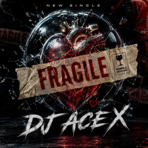 Fragile by DJ ACE X