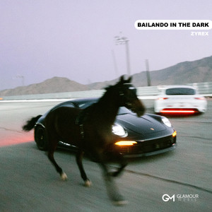 Bailando In The Dark by ZYREX