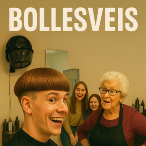 Bollesveis