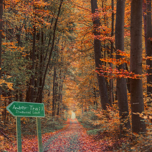 Amber Trail by Pinewood Lane