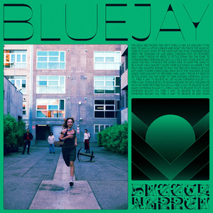 Bluejay