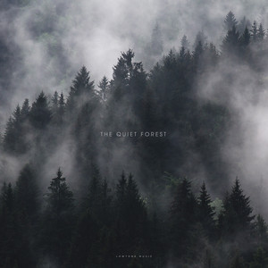 The Quiet Forest by Lowtone Music