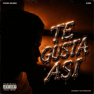 Te Gusta Asi by FKNO MUSIC, Esteban The Producer