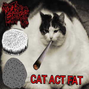 Degenerates Boiled Alive In Raw Human Faeces - Cat Act Fat (feat. INFANTICIDE Infant Sodomy & Plushy Rampage)