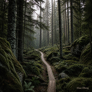 Skuleskogen - Water Stream by Elias Olberg