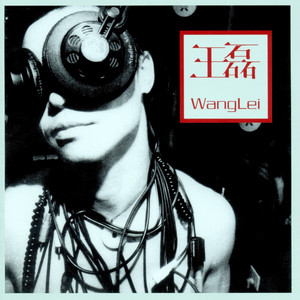 Wang Lei — Wang Lei