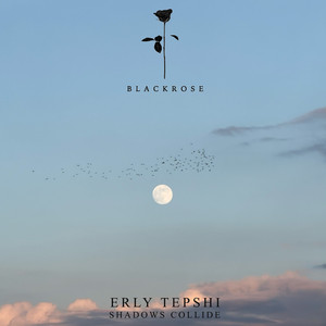 Erly Tepshi — Shadows Collide (2026)