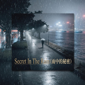 Secret In The Rain (雨中的秘密) by 夏保华