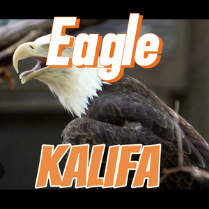 Haystixx, Portable & Haytee - CANA (REMIX)